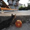 olympos