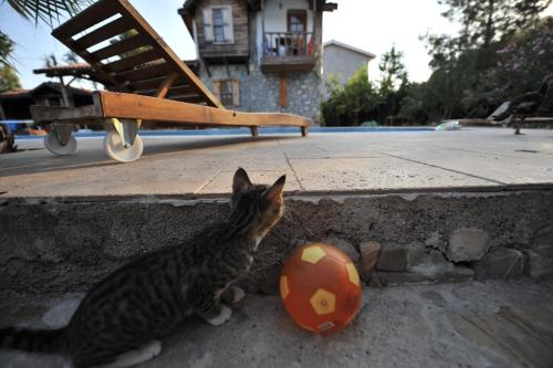 olympos