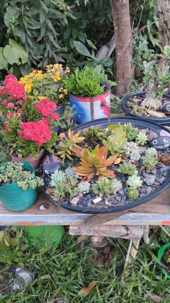 hospedagem joao de barro