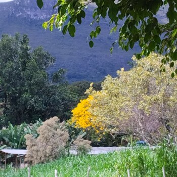 hospedagem joao de barro