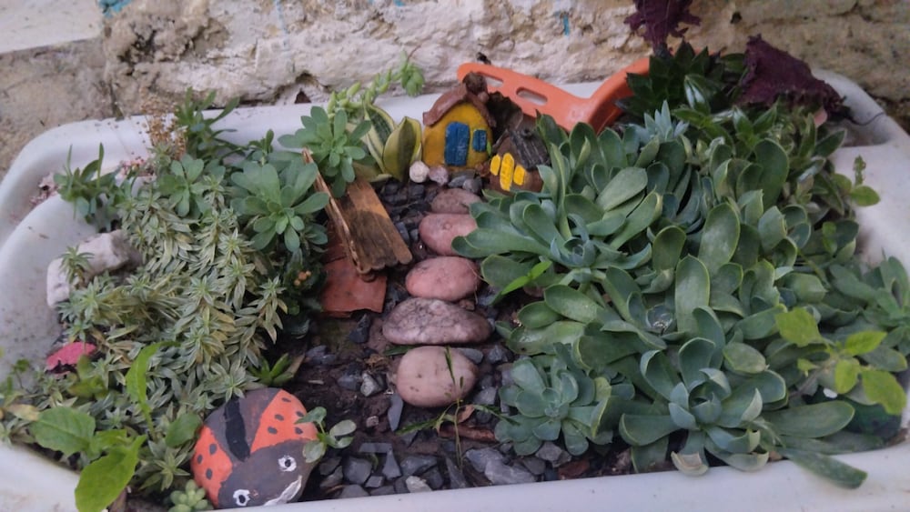 hospedagem joao de barro