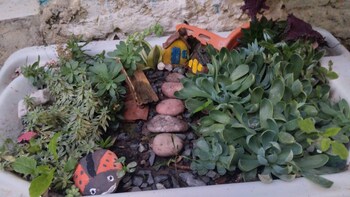 hospedagem joao de barro