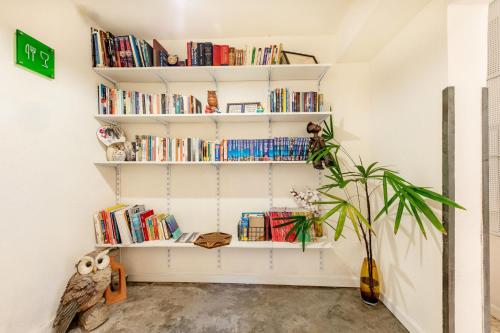 shenzhen loft youth hostel