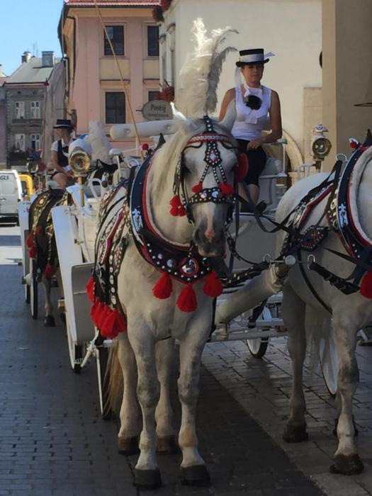 red brick apartments
