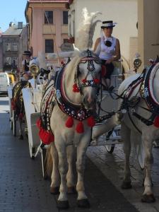 red brick apartments