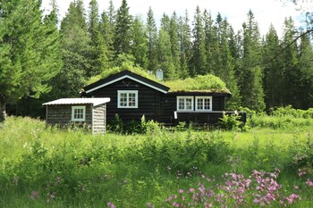 velfjord camping and hytter
