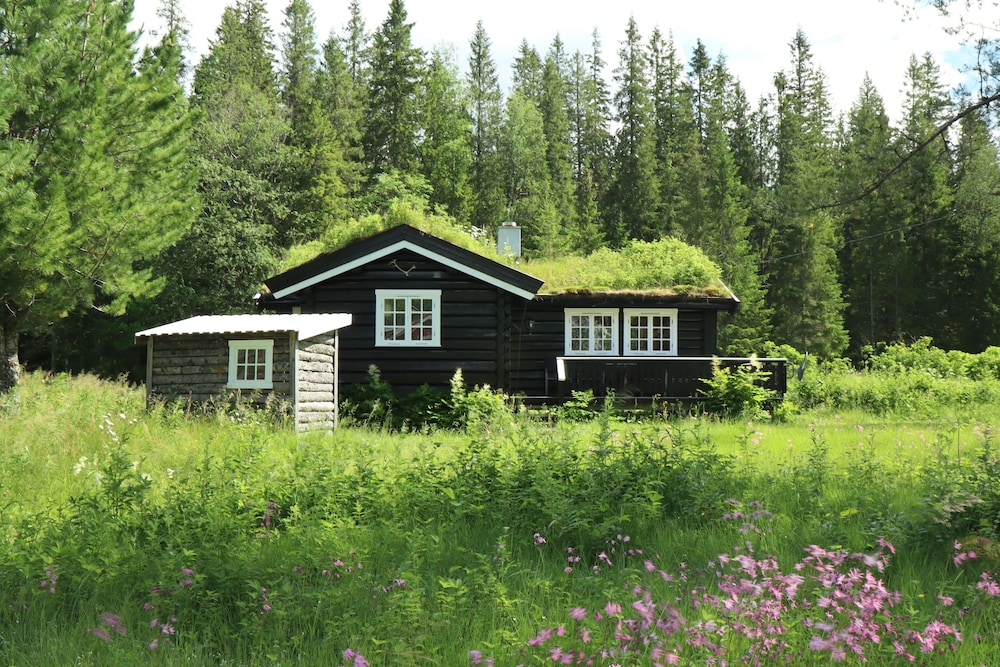 velfjord camping and hytter