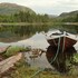 velfjord camping and hytter