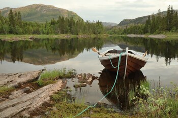 velfjord camping and hytter