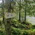 velfjord camping and hytter