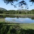 velfjord camping and hytter