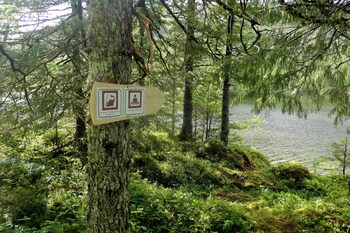 velfjord camping and hytter