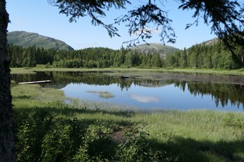 velfjord camping and hytter