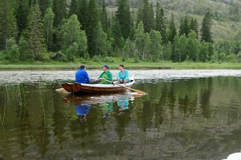 velfjord camping and hytter