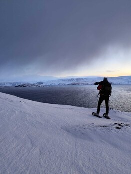 kongsfjord