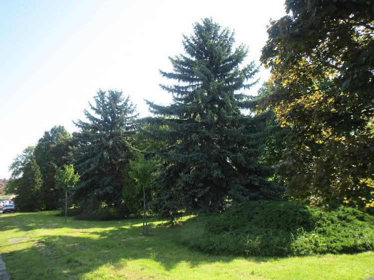 het pecset fogado etterem