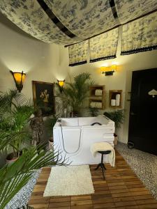 casa madre tierra