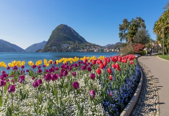 lugano