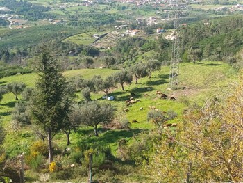 aldeia da serra