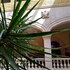 zacatecas
