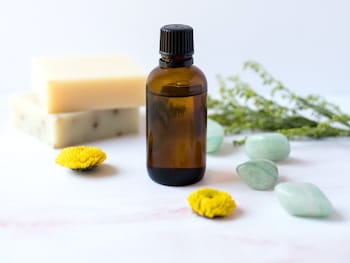 aluasoul palma adults only