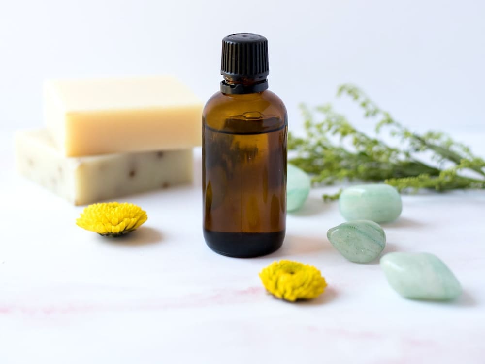 aluasoul palma adults only