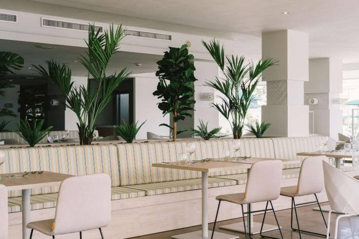 aluasoul palma adults only