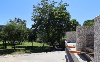 vieira do minho