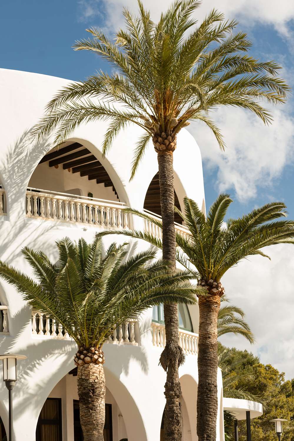 hilton mallorca galatzo