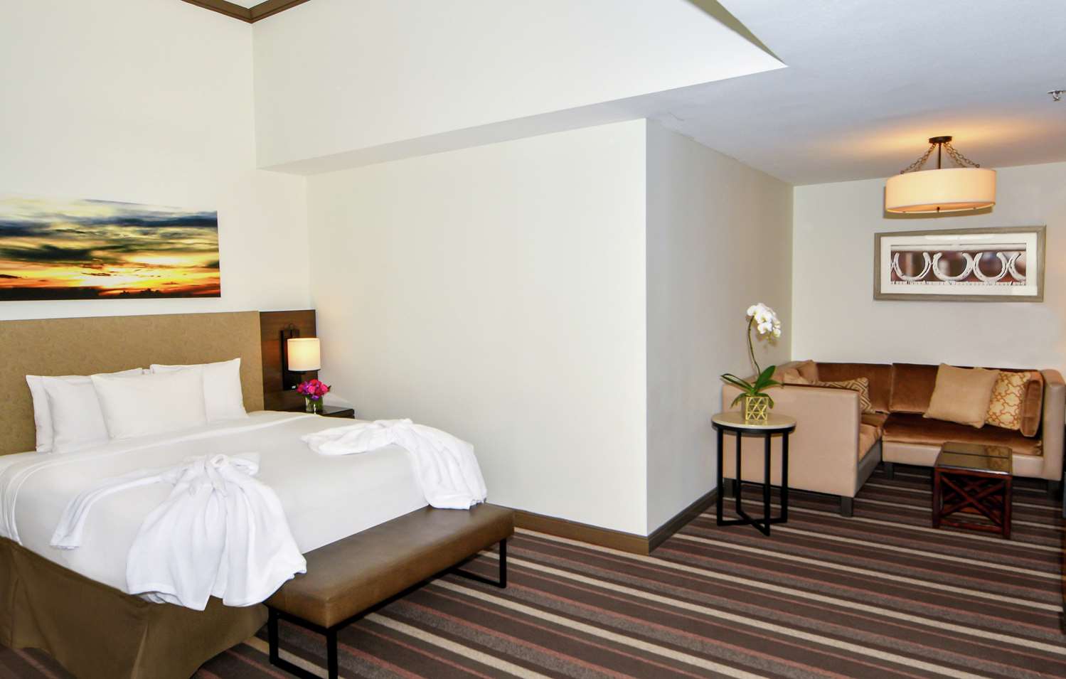 hilton dallas park cities