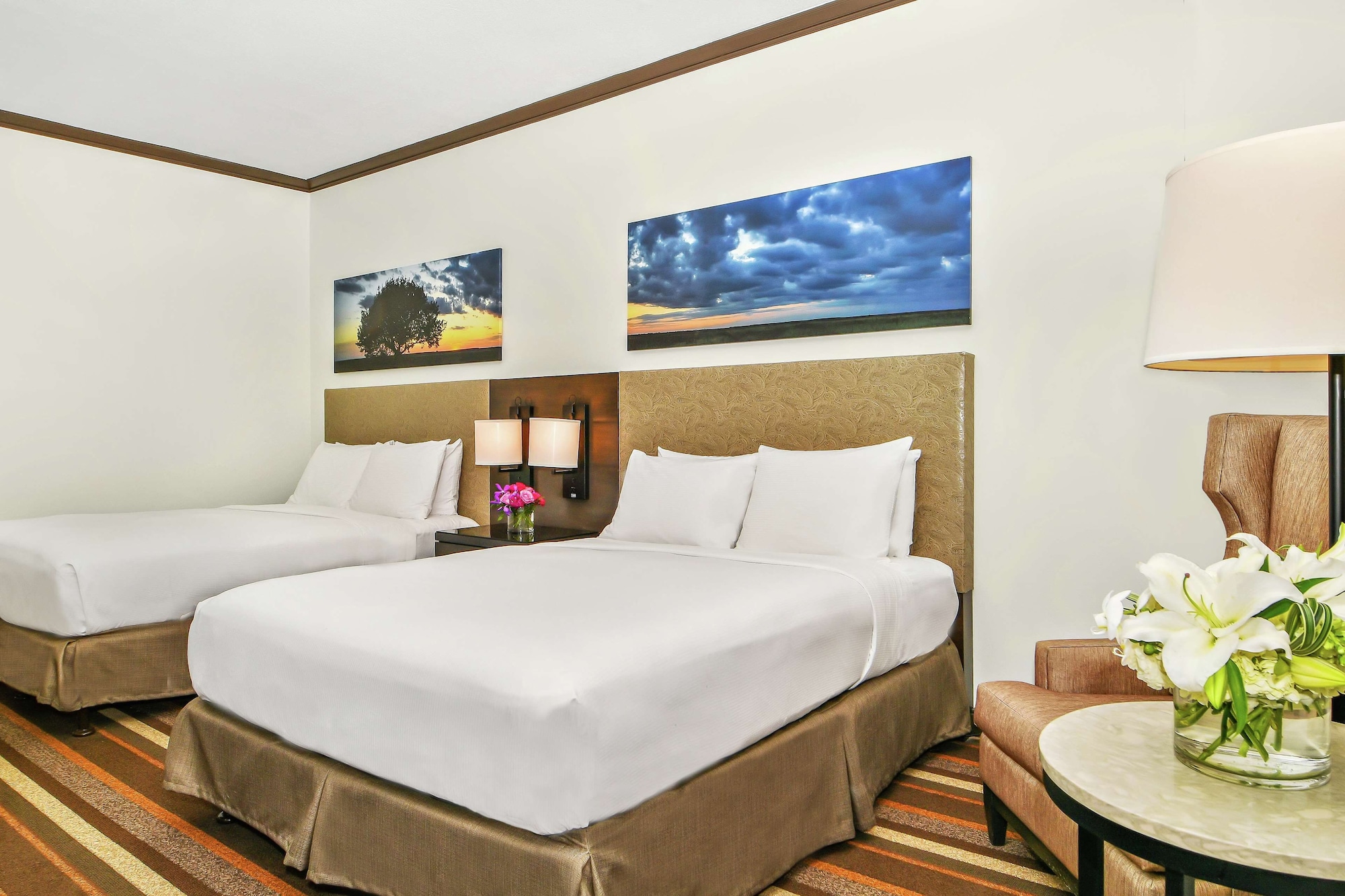 hilton dallas park cities
