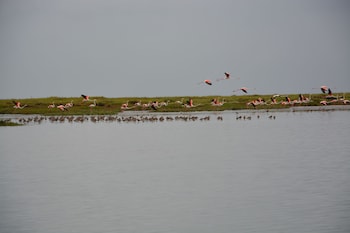 tagus marina houseboat