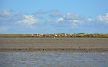 tagus marina houseboat