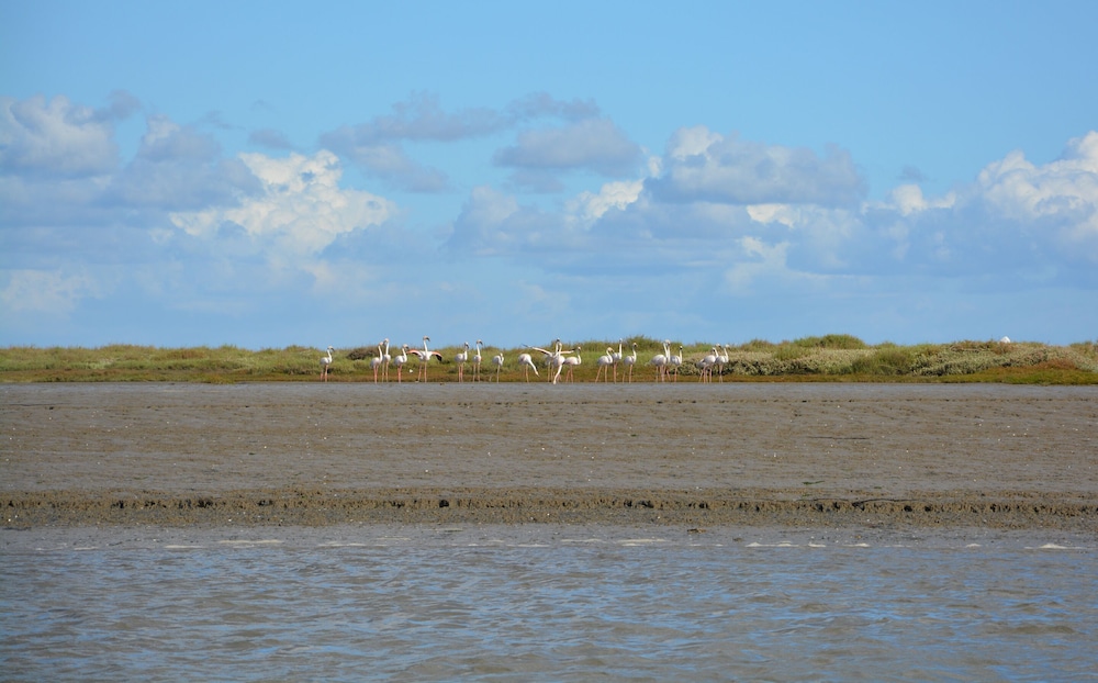 tagus marina houseboat