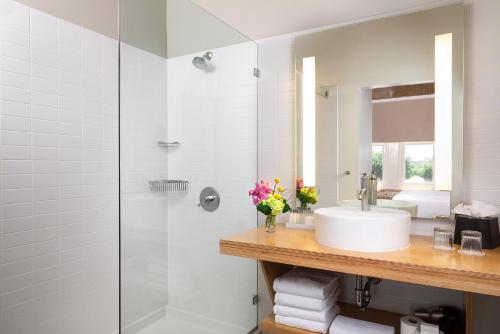 canvas hotel dallas