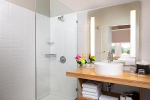 canvas hotel dallas