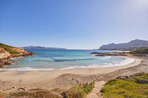 alcudia