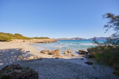 alcudia