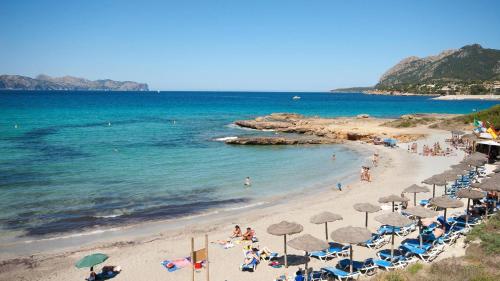 alcudia