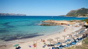alcudia