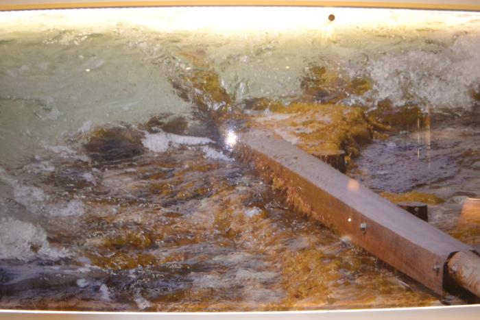 sant antoni de portmany