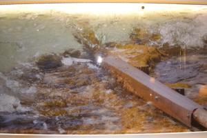 sant antoni de portmany