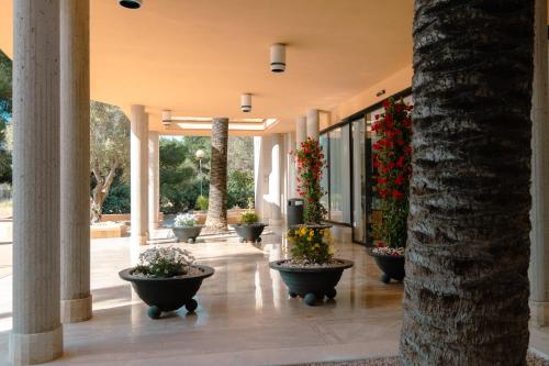 cami vell de sant mateu