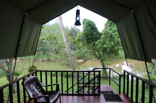 360 rainforest