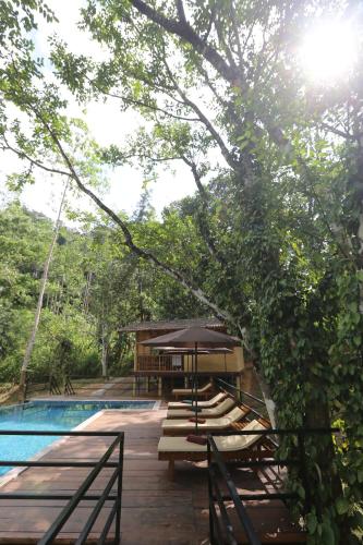 360 rainforest