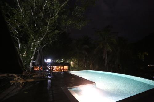 360 rainforest