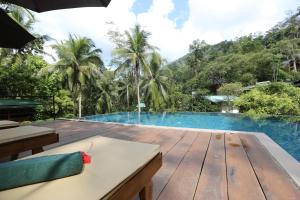 360 rainforest