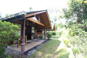 360 rainforest