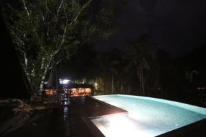 360 rainforest