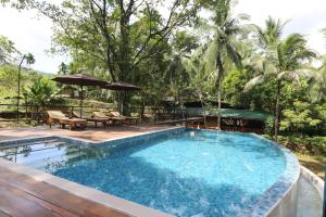 360 rainforest
